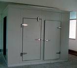 고기류 창고 2*3*2.6M을 위한 주문 제작된 시원한 방 냉장고 1.0 밀리미터 강철 냉장실